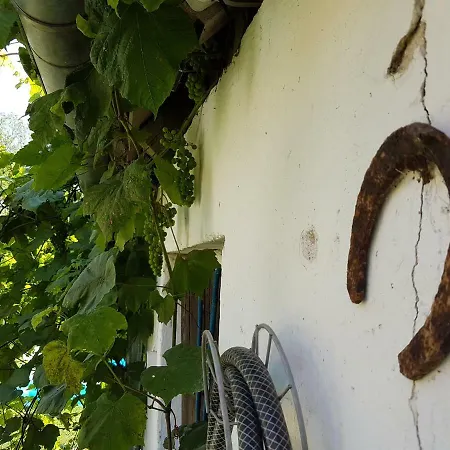 Szlak Wielkich Jezior Lantgård